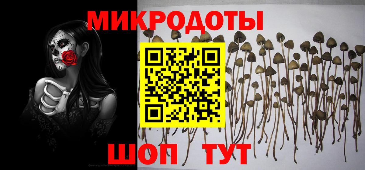 Назарово  Псилоцибиновые грибы ЛСД  Псилоцибиновые грибы мицелий  Вход с VPN 